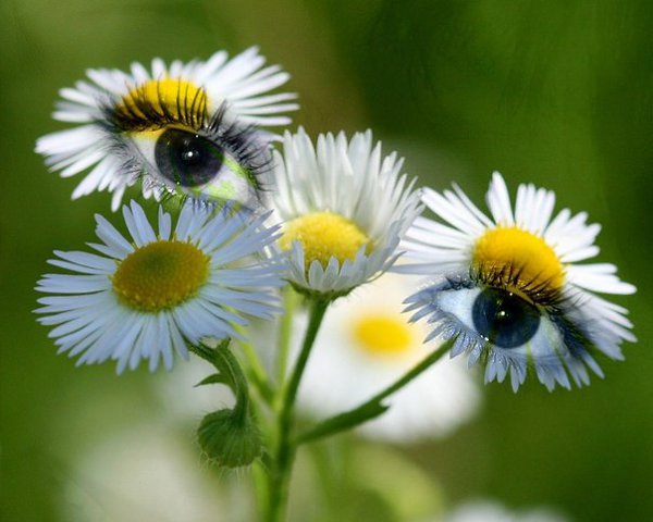 � ����� ����� ������� � �����, � ����� ���������� ������� � ���, ��� ���� ����� � ���� ������, � ��� ... - 2