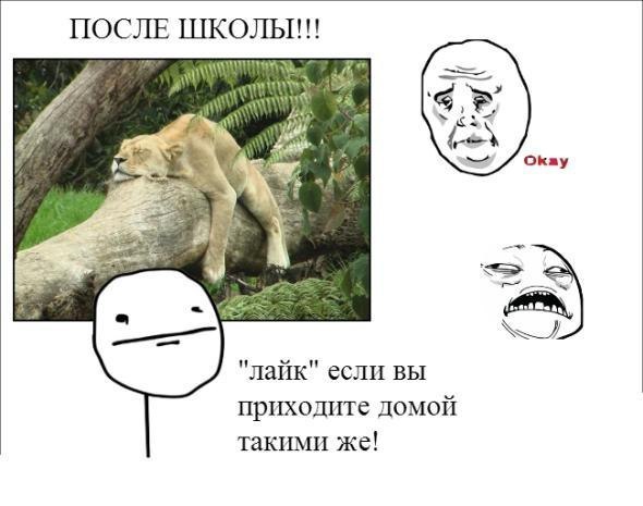 ? ,  ! - 11  2015  15:53