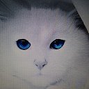 ���� �����, ��������� - ��������� 26 ���� 2015 � ������ ������ ��������