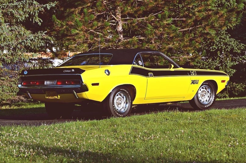 Dodge Challenger (1970) - 7