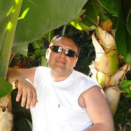 Andrey, �����-���������, 40 ���