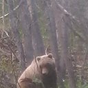 ���� ������, �������, 45 ��� - ��������� 12 ���� 2015 � ������ ���� ����������