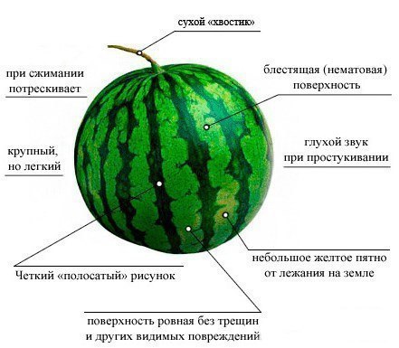   => https://fotostrana.ru/away?to=/sl/sA4 p  https://fotostrana.ru/away?to=/sl/rA4
