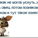 ���� ��������, ������ - ��������� 30 ��� 2015 � ������ ������������