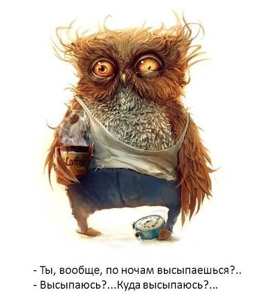       - 7  2015  06:01
