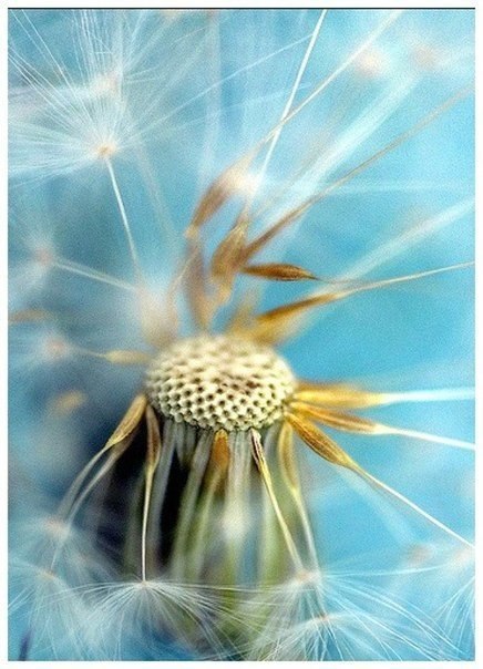   ,          . ... - 5