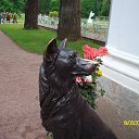 ���� �����, ������������ - ��������� 12 ���� 2015 � ������ ���� ����������