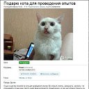 ���� �.., ������, 53 ���� - ��������� 2 �������� 2015 � ������ ���� ����������