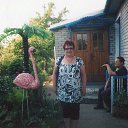 ���� ������, ������������, 67 ��� - ��������� 16 ���� 2015