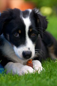  - 18  2015  14:10 - 3