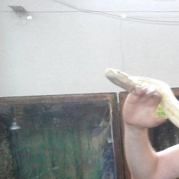 Alekcey, ���������, 48 ���