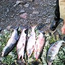 ���� �������, ������, 57 ��� - ��������� 15 �������� 2015 � ������ ���� ����������