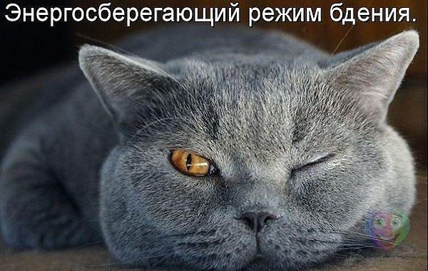 �� ��� ������� ;)