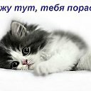  Alexandr, , 63  -  13  2015    