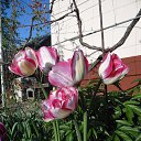 ������ � ������ ������ 1-2 ������ �� ������� ���� ��������� ������