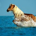 ���� -= ������� =-, �����-��������� - ��������� 19 ������� 2015 � ������ ������ ��������