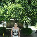  , , 69  -  5  2015    2015