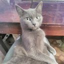 ���� �����, ���������, 33 ���� - ��������� 25 ������ 2015 � ������ ���� ����������