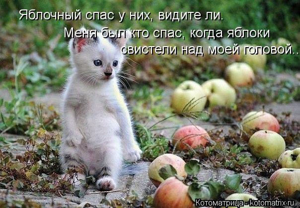  - 19  2015  20:58
