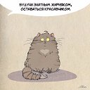 ���� ����, ��������� - ��������� 2 ��� 2015 � ������ ������ ��������