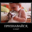 ���� �������, �������� - ��������� 5 �������� 2015 � ������ �������