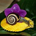 ���� Vikont, �����, 56 ��� - ��������� 20 ���� 2015 � ������ �������