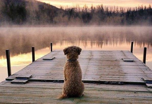 Только не любив, можно отпустить. Только видя смерть, научиться жить. Только потеряв, мы начнём ...