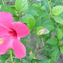    -  ,  -  23  2015    2014.  Peace.  11-.