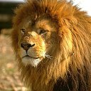 ���� ��������, ������, 54 ���� - ��������� 22 �������� 2015 � ������ ���� ����������