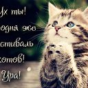 ���� ���������, ��������� - ��������� 2 ���� 2015 � ������ �������� ��������