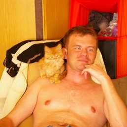 �������, �����, 46 ���