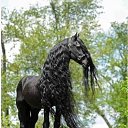  Pawel, , 57  -  26  2015    