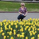 ���� �����, ���������, 60 ��� - ��������� 11 ��� 2015 � ������ ���� ����������