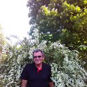 ���� Vladimir, ��������, 71 ��� - ��������� 2 ���� 2015 � ������ ���� ����������