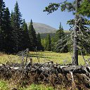 ���� ������, ������, 59 ��� - ��������� 24 ���� 2015 � ������ �� ����� ��� � ��� ��� �����