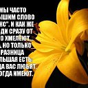 ���� ������, ����������� - ��������� 20 ���� 2015 � ������ ���� �����.)�