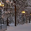  ,  -  8  2015      .