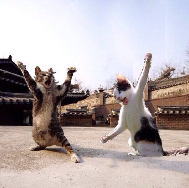       - 21  2015  04:02 - 5