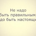 ���� Quiet, ������, 43 ���� - ��������� 16 ���� 2015 � ������ ������ ��������