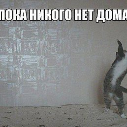 ???, �����, 48 ���