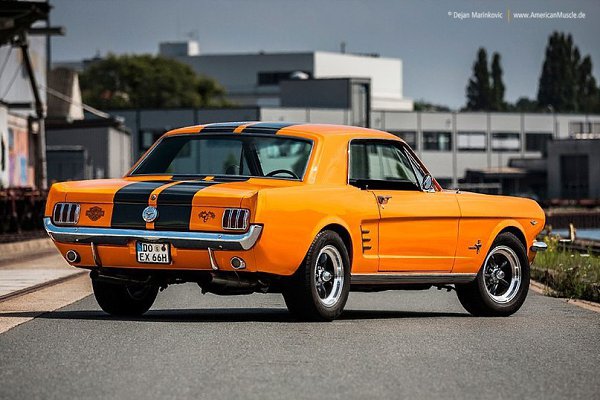 Ford Mustang Coupe, 1966 - 4