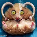 ���� ������, ������, 31 ��� - ��������� 28 ���� 2015 � ������ ���� ����������