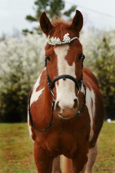 ����� ������� - 8 �������� 2015 � 18:30 - 6