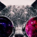 ���� ������, ������ - ��������� 1 ��� 2015