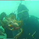 ���� Rinat, ������� - ��������� 25 ������ 2015 � ������ ���� ����������