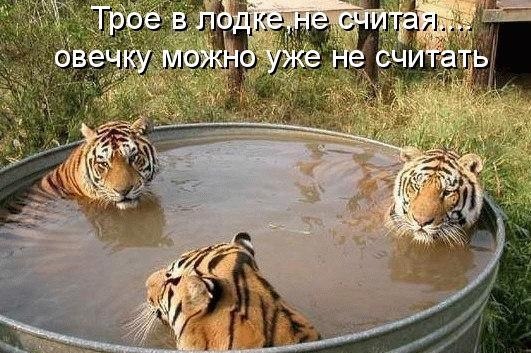       - 6  2015  10:02