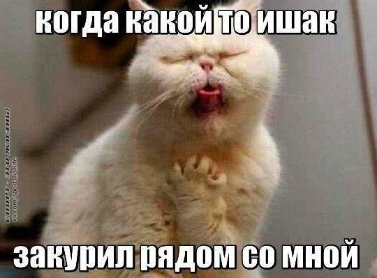  -   - 4  2015  13:07