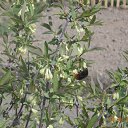 �������� ��������� �� �����. �� ������� ���� ����������