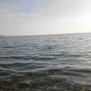 21.01.2015 ������� �� ������� ���� ����������