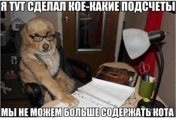    :-) - 6  2015  15:40